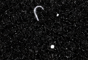 Direct microscopic image after bonding